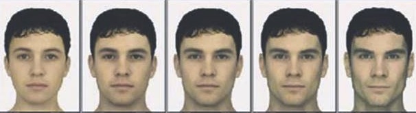сравнение лиц с разной формой челюсти