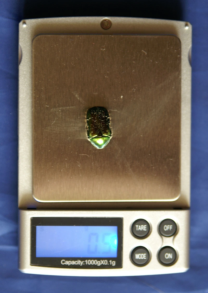 M&W-2026-03-31-010.webp