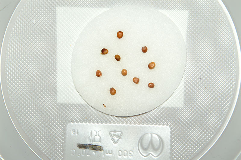 MIR-2026-03-29-103.jpg