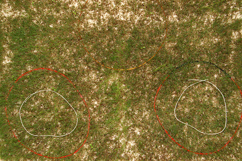 MIR-2026-03-29-154.jpg