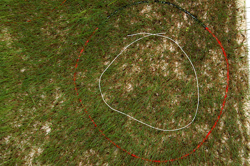 MIR-2026-03-29-155.jpg