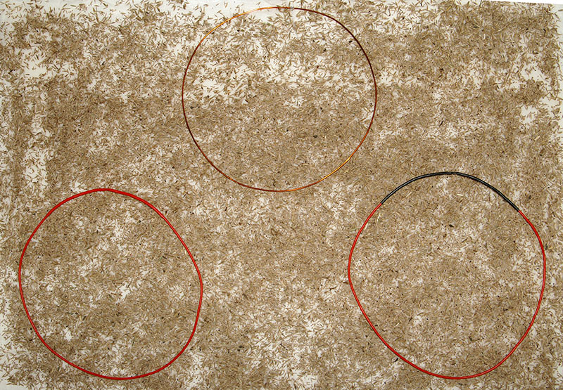 MIR-2026-03-29-159.jpg