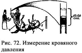 Religion-2026-10-01-001.jpg