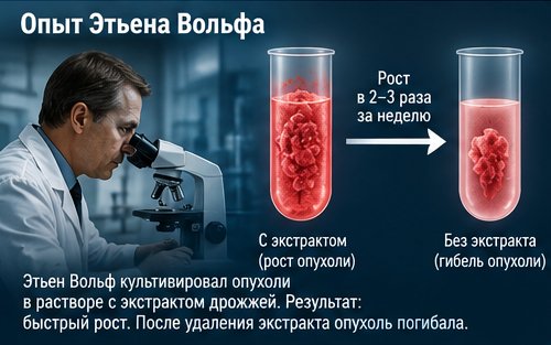 Термофильные дрожжи_ научный разбор хлеба 4.jpg